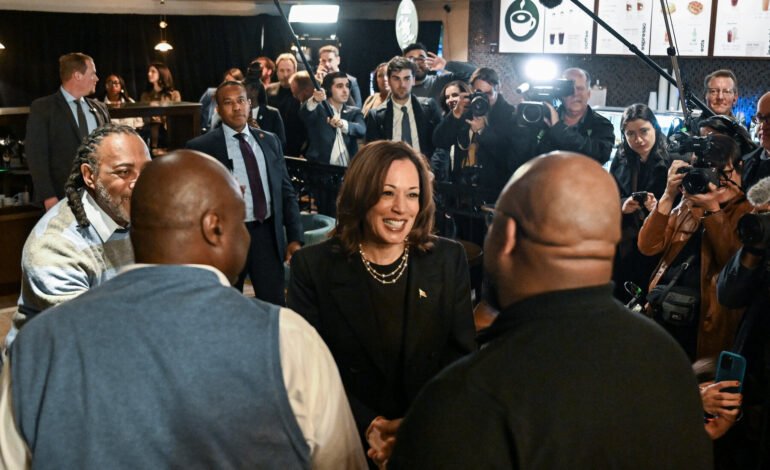 Can Harris’s Economic Plans Sway Small Business Owners to Vote Democratic?