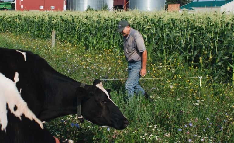 U.S. Farmers Brace for New Trump Trade Wars Amid Tariff Threats