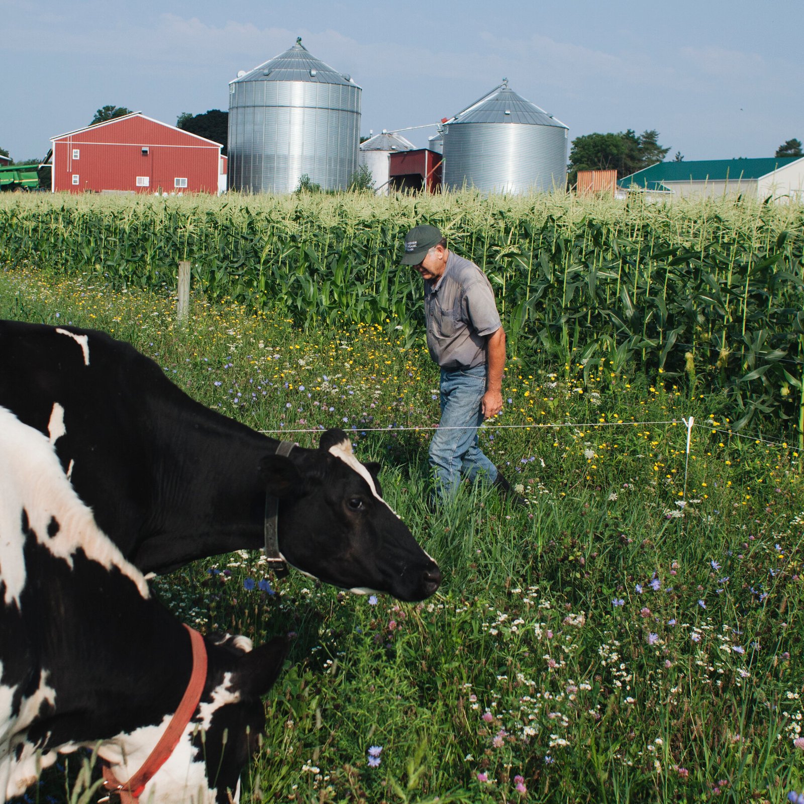 U.S. Farmers Brace for New Trump Trade Wars Amid Tariff Threats