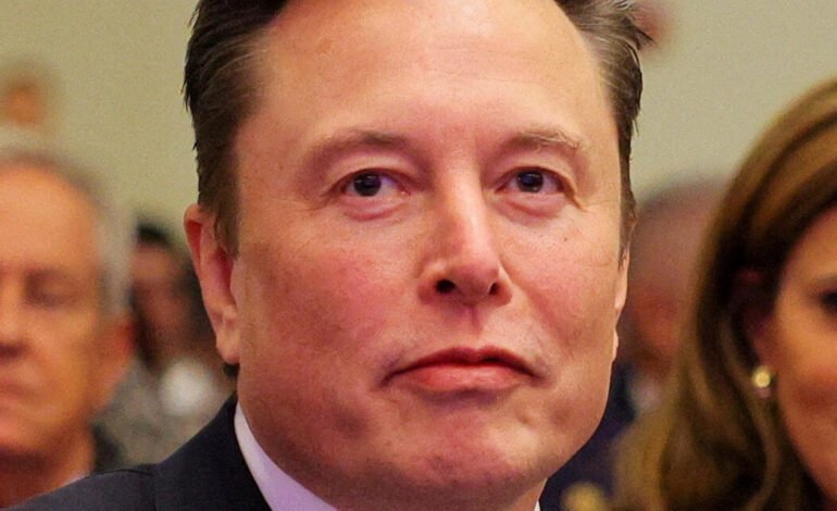 Trump Backers, Including Elon Musk, Clash With Far Right Over Immigrant Workers and H-1B Visas